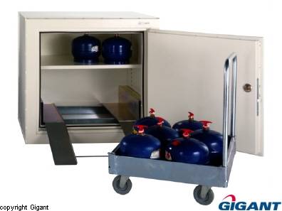 Gas and LPG cabinet