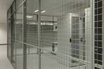 Caelum cage